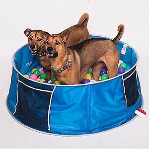 Pop Up Pet Bath * Limited Qty Available