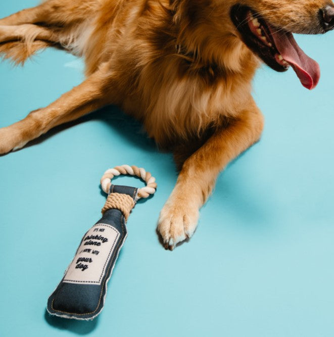 Canvas dog toy top