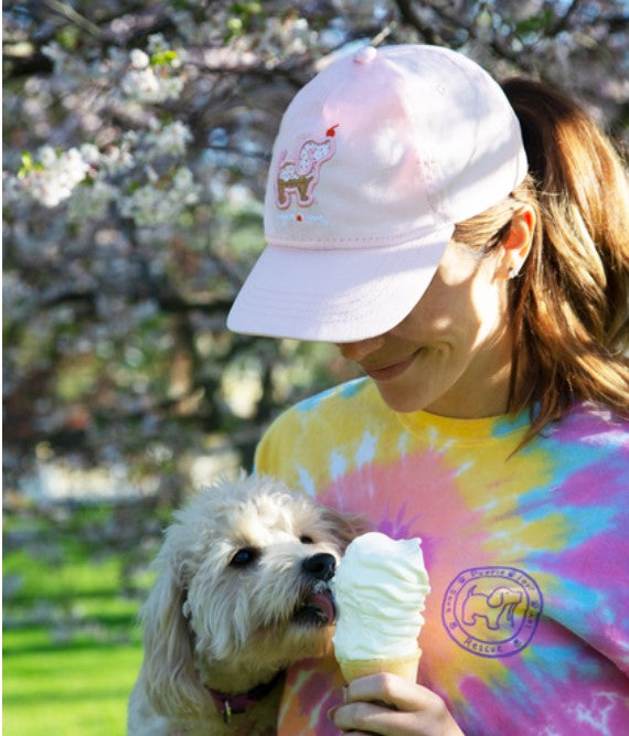 Puppie Love Ice Cream Hat